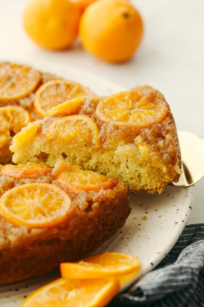 Taking a piece of clementine cake with a gold cake spatula. 