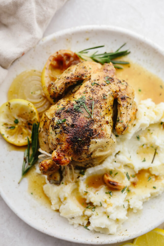 A cooked cornish hen on a plate with some mashed potatoes. 