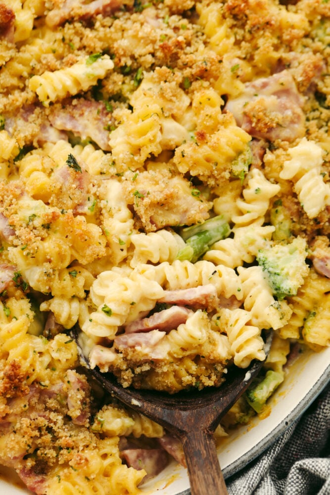 A close up of cheesy ham casserole. 