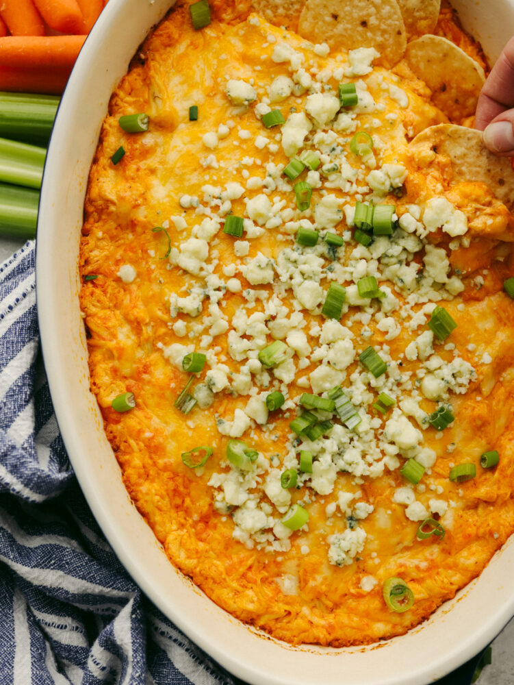 Someone dipping a tortilla chip into buffalo chicken dip. 