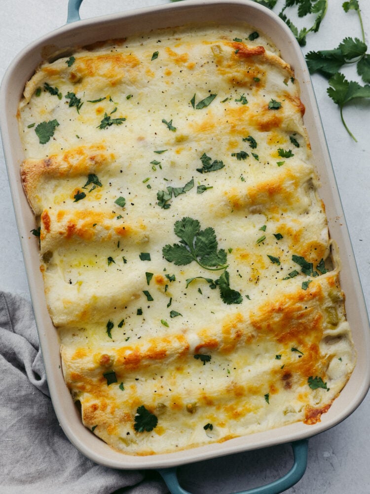 The top view of a baking dish filled with cooked white chicken enchiladas. 