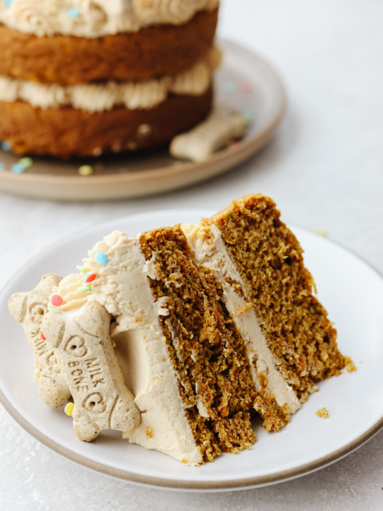 Closeup shot of a slice of dog birthday cake.