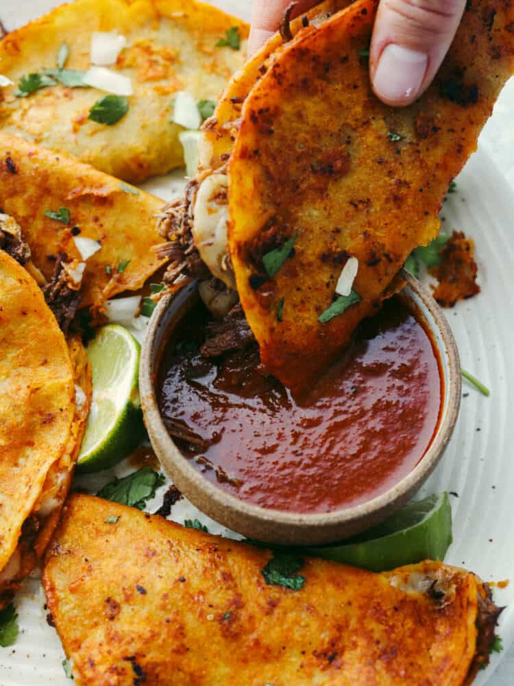 A close up of a birria taco being dipped into sauce. 