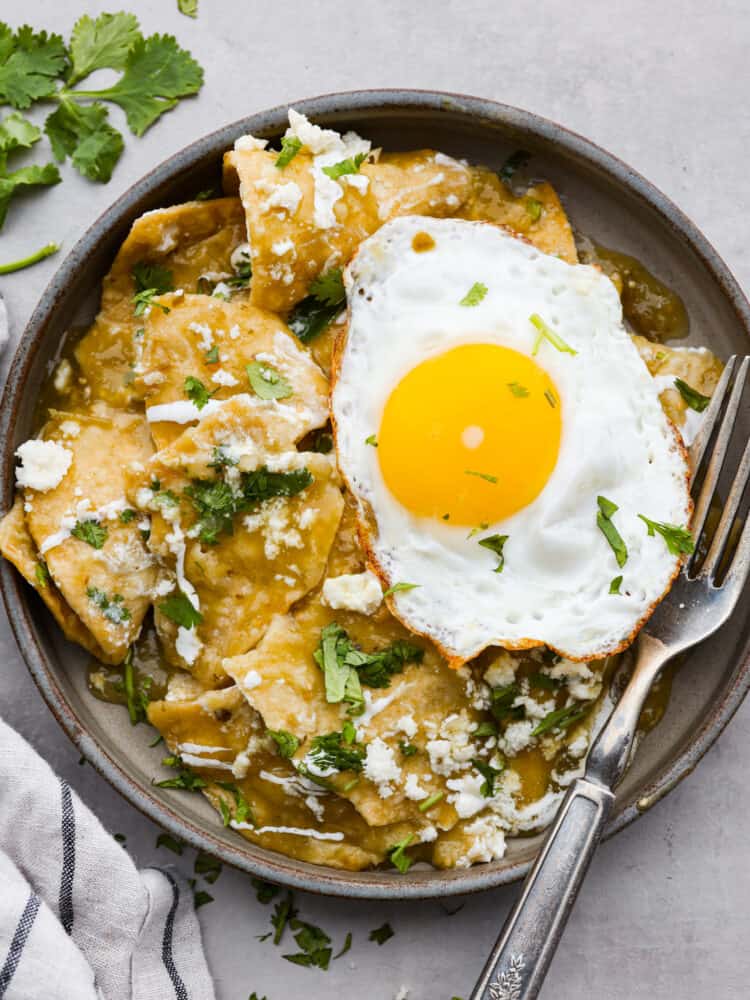 Chilaquiles in a bowl with a fork to the side and cilantro in the background.