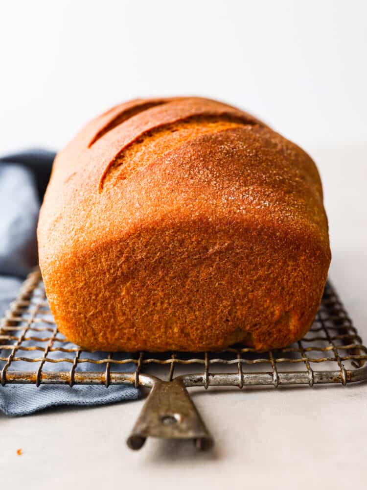 Sprouted Whole Wheat bread loaf sitting on a wire rack with a blue tea towel underneath