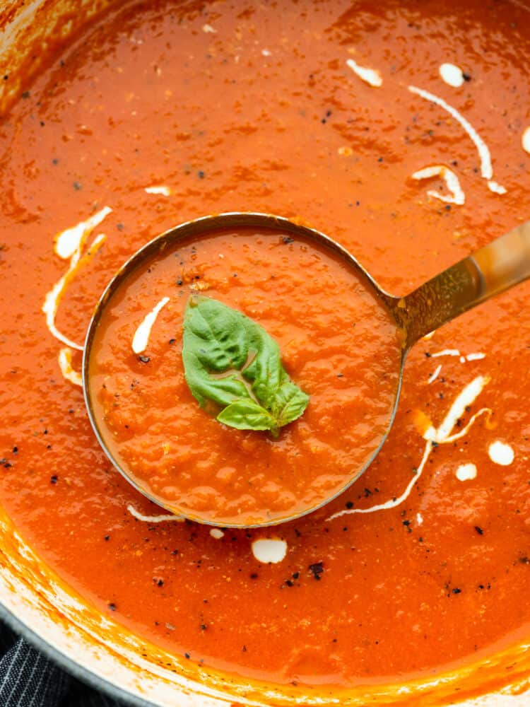 Closeup of a ladle filled with soup. There is a piece of basil in the ladle.