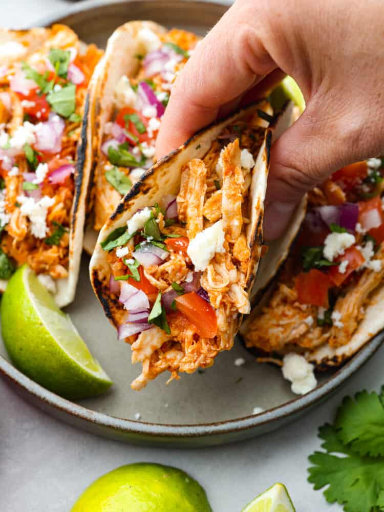 A hand holding a taco over a plate of other tacos.