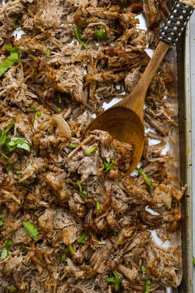 Top-down view of carnitas in a baking sheet.