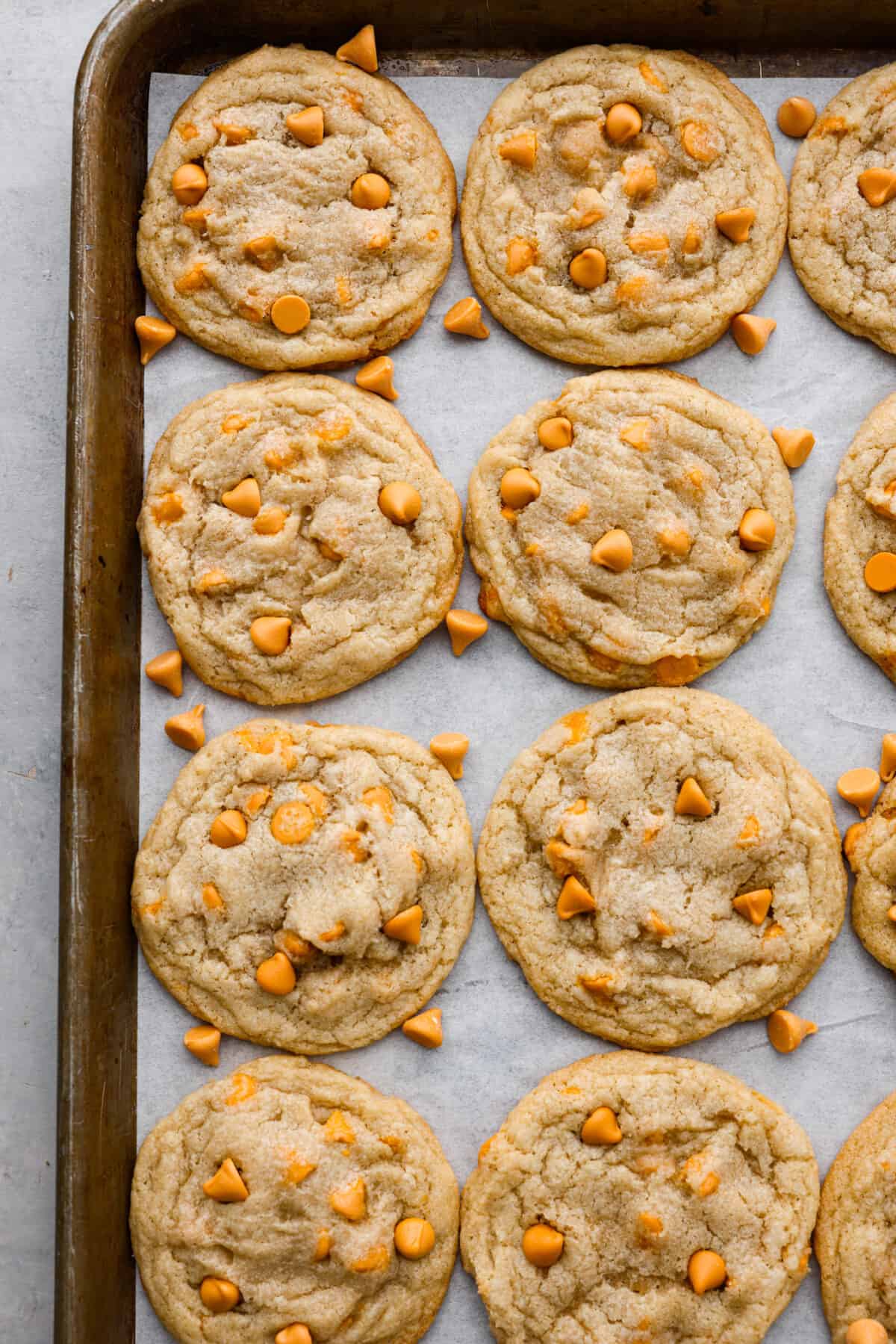 The top view of cookies on a backing sheet with parchment paper. 