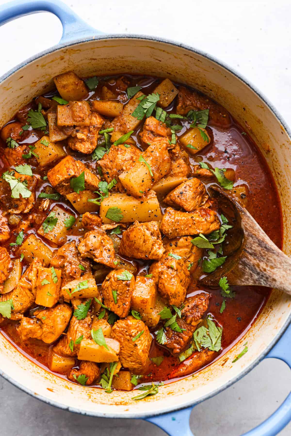 Top-down view of chicken vindaloo in a blue and white pot.