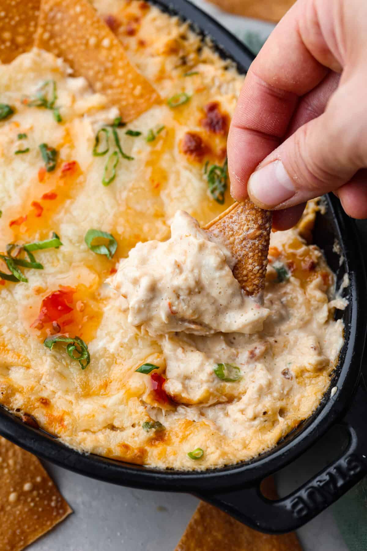 Closeup of a fried wonton chip being dipped into the hot crab dip.