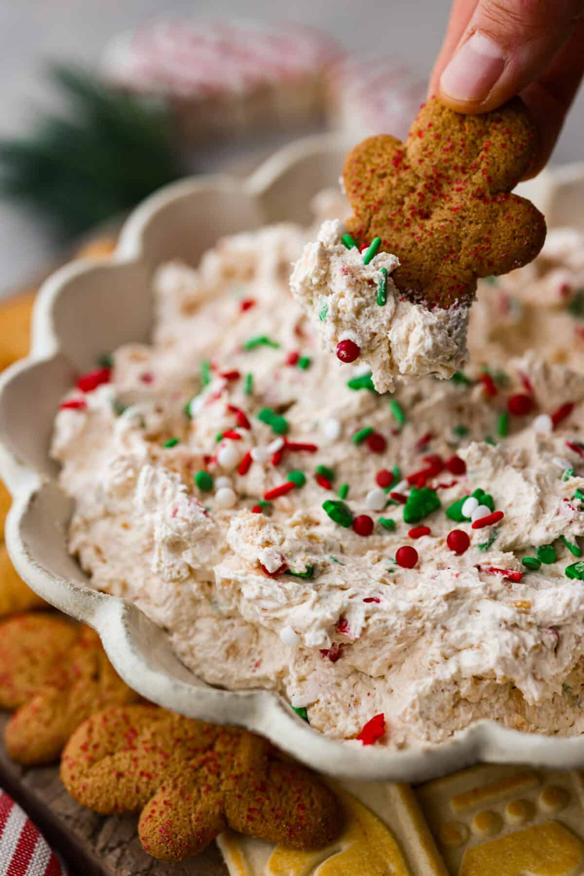 Dipping a gingerbread cookie into the dip.