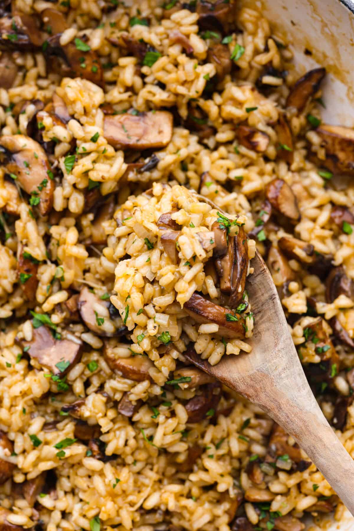 Closeup of a spoonful of creamy mushroom risotto.