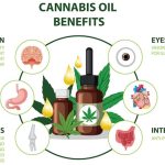 Discover the Remarkable Advantages of Cannabidiol Oil: Unveiling the Truth