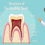 Uncover the Unexpected: Eight Surprising Factors That Can Impact Your Dental Health