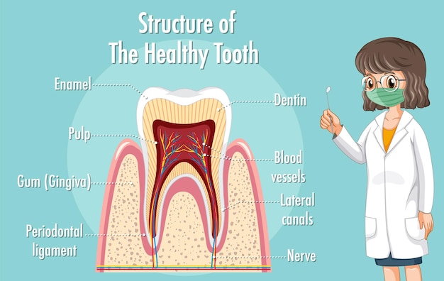 Uncover the Unexpected: Eight Surprising Factors That Can Impact Your Dental Health