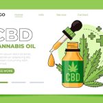 Unveiling the Truth: Do CBD Edibles Live Up to Their Buzzing Reputation?