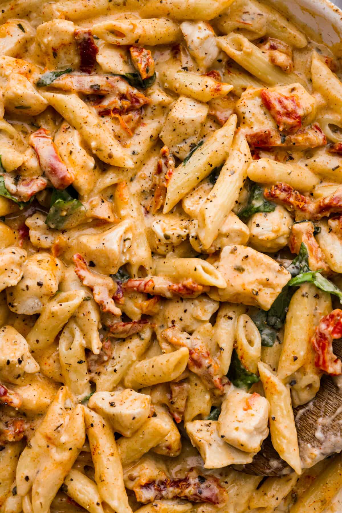 Closeup of the sun-dried tomato pasta.