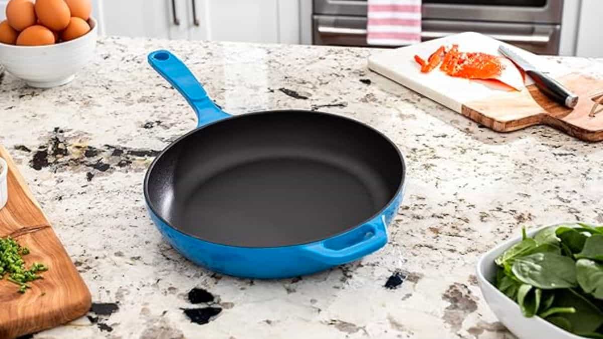 Lodge Enameled Cast Iron Skillet