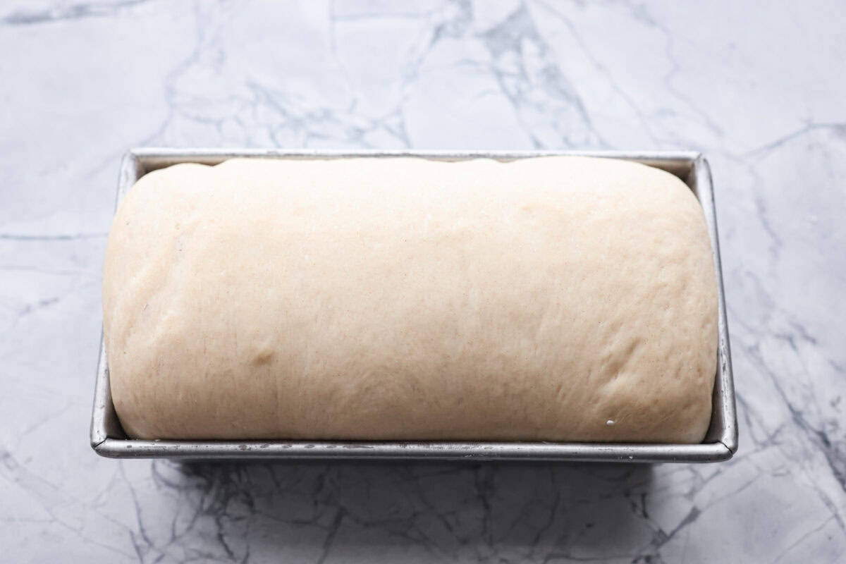 Sixth photo of the last rise of the dough in the bread pan before baking the bread.