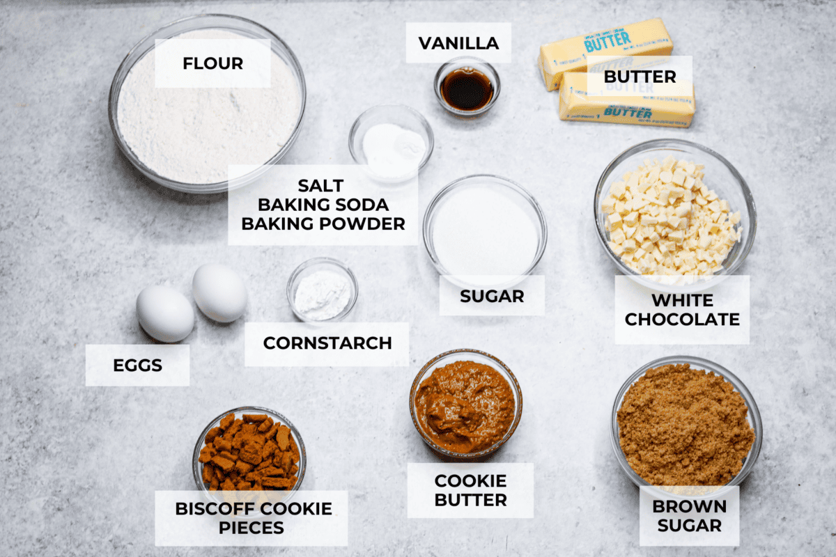 Overhead shot of labeled ingredients. 