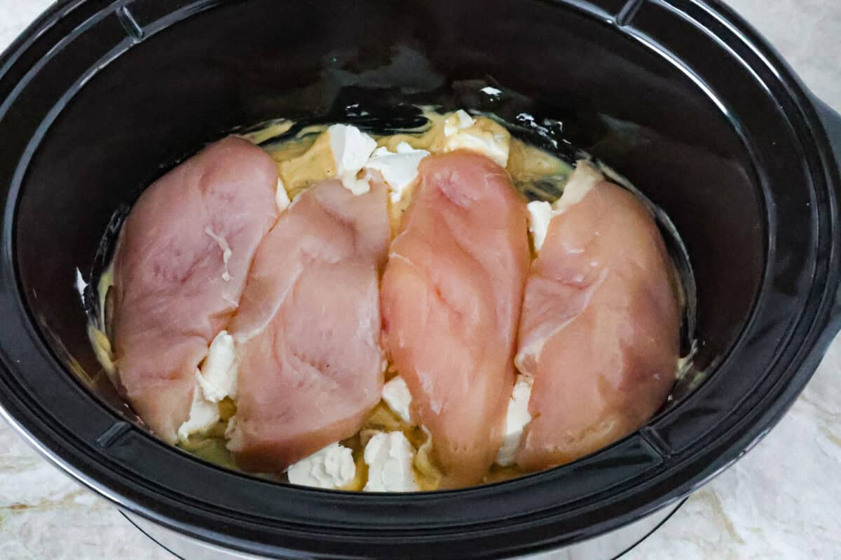 Overhead shot of chicken breasts over cream of chicken and cream cheese. 