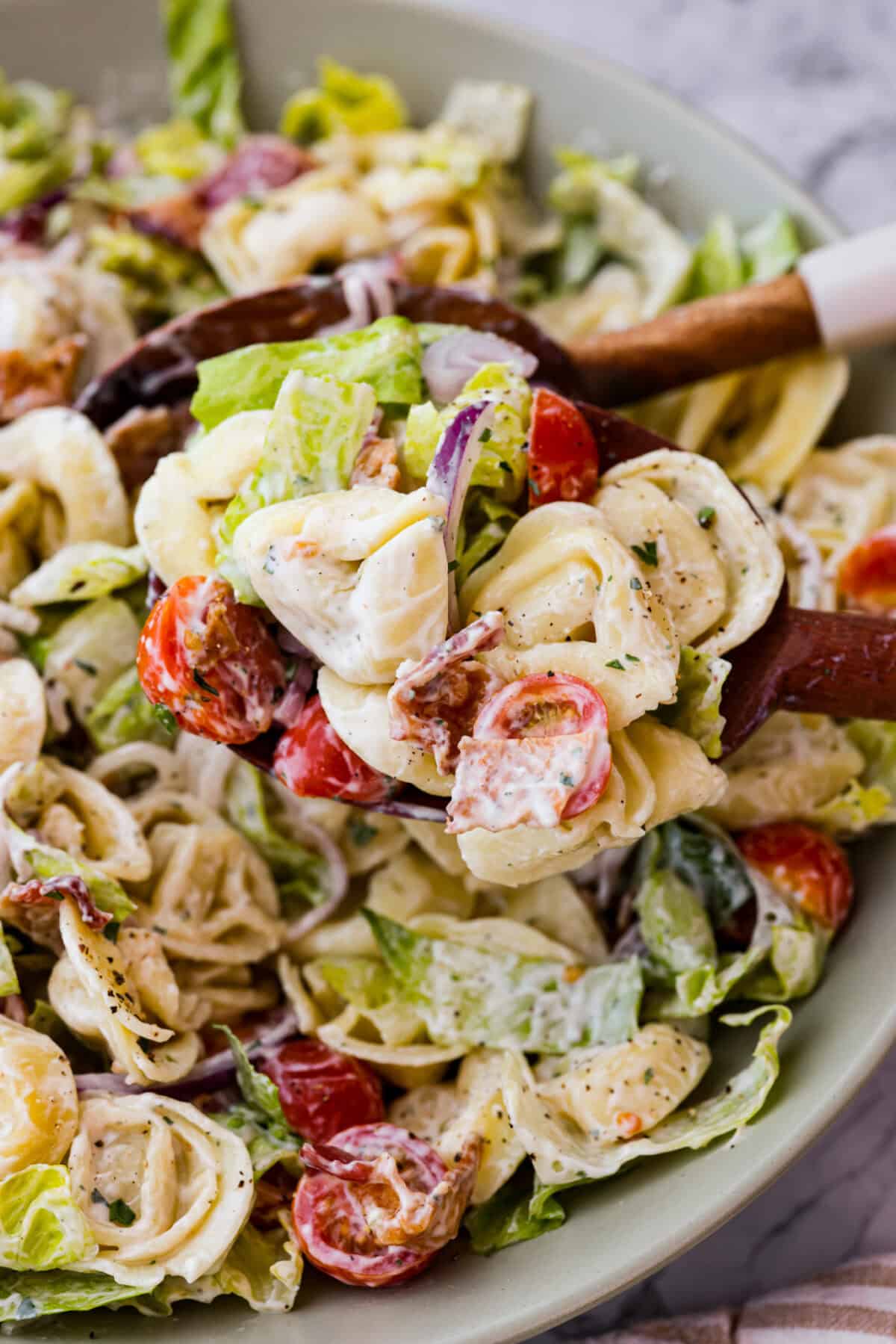 Angle shot of a spoon getting scoop of tortellini salad from large bowl. 