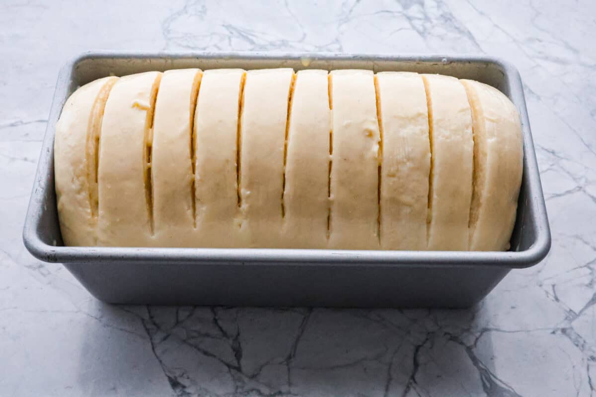 Overhead shot of scored rolled dough in loaf pan. 