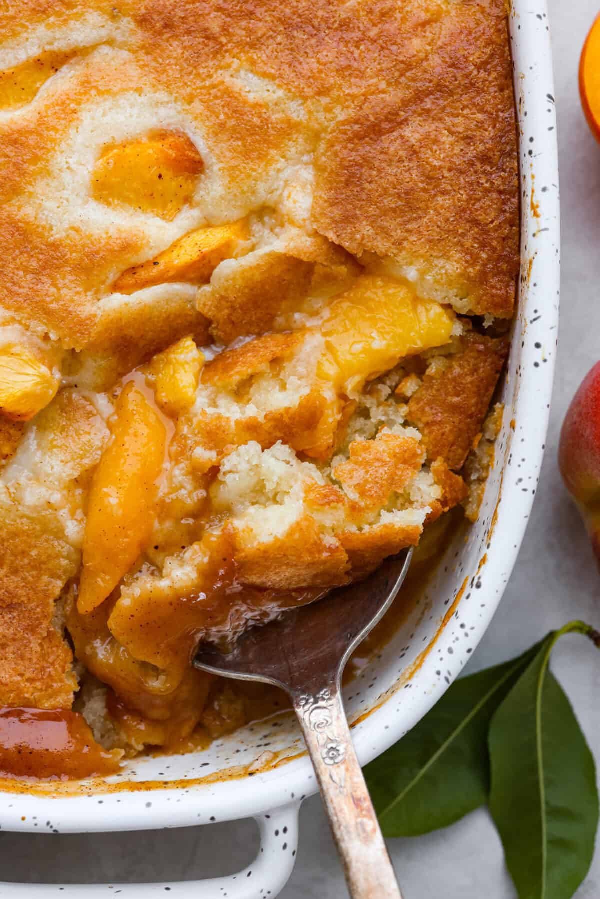 Close up shot of old fashioned peach cobbler being scooped out of backing dish. 