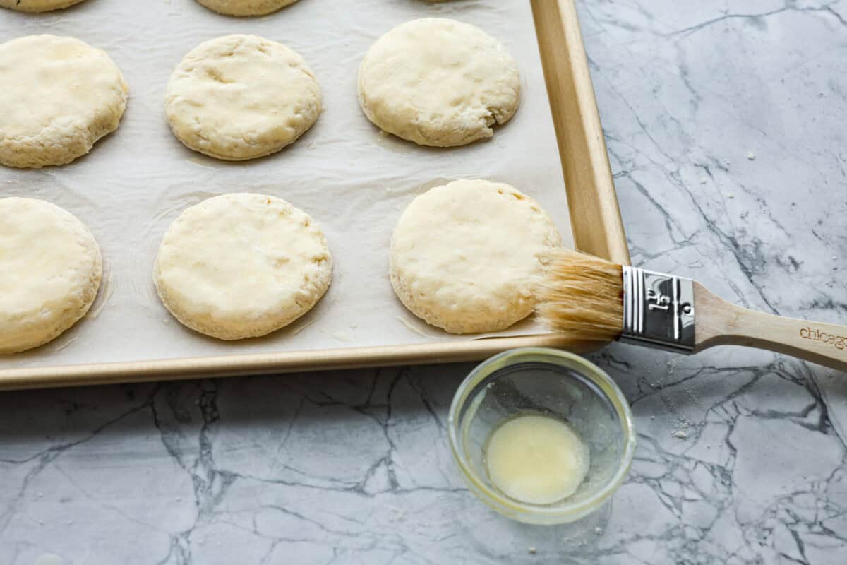 Overhead shot of biscuit round being brushed with butter before being baked. 