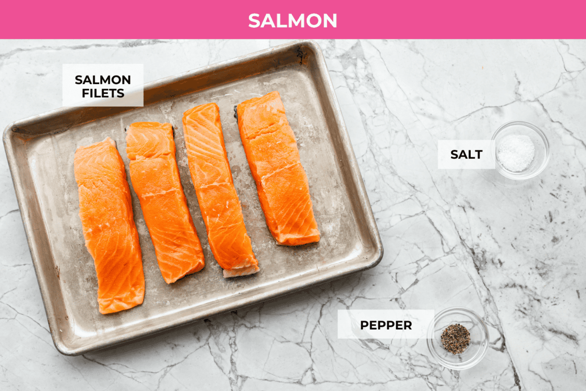 Overhead shot of labeled salmon ingredients. 