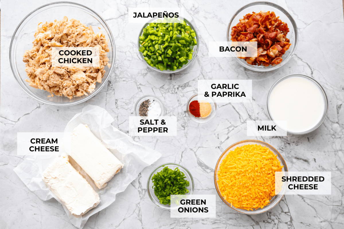 Overhead shot of labeled ingredients. 